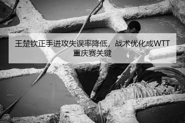 王楚钦正手进攻失误率降低，战术优化成WTT重庆赛关键