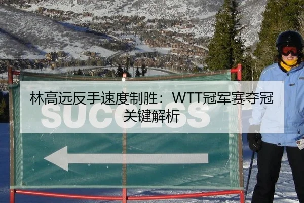 林高远反手速度制胜：WTT冠军赛夺冠关键解析