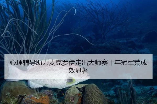 xin-li-fu-dao-zhu-li-mai-ke-luo-yi-zou-chu-da-shi-sai-shi-nian-guan-jun-huang-cheng-xiao-xian-zhu-2-201.jpg