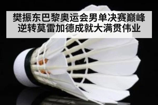 樊振东巴黎奥运会男单决赛巅峰逆转莫雷加德成就大满贯伟业